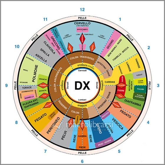 Iridologia_01